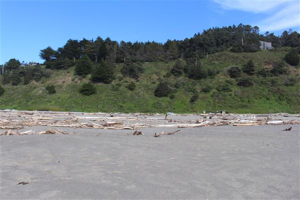 Navarro River Beach - Navarro River Redwoods State Park (SP) (3/31/2017 - Credits: Kellen Lim)