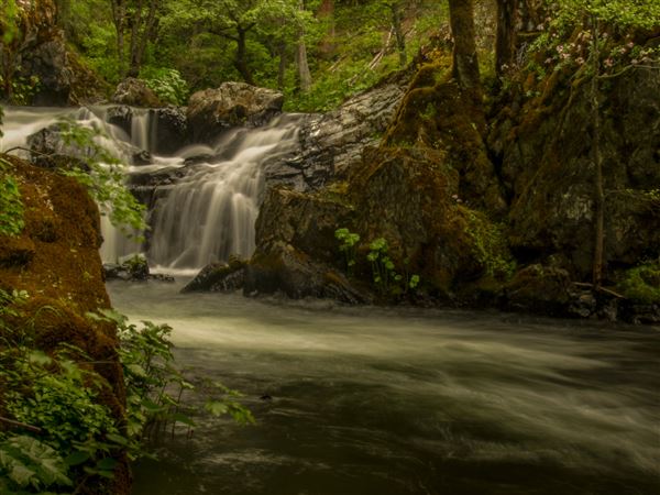 Shasta County Waterfalls (1/19/2018 - Credits: Michelle James)