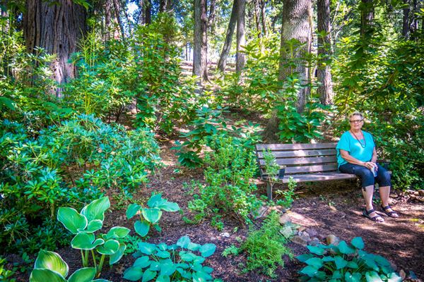 Shasta County Gardens (1/22/2018)