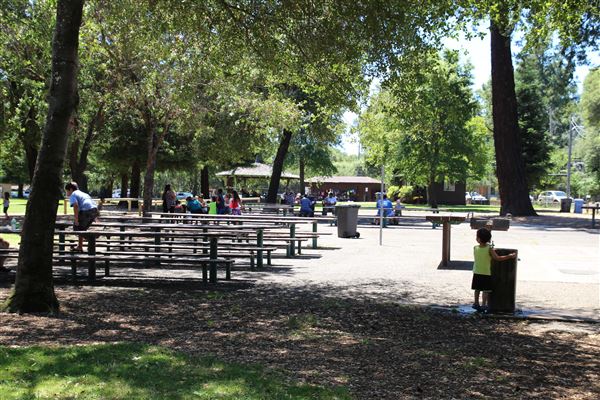 Todd Grove Park - Picnic areas also for event use. (7/11/2017 - Credits: Kellen Lim)