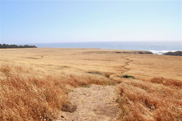 Van Damme State Park (SP) / Beach / Pygmy Forest / Fern Canyon Trail / Spring Ranch Trail - Spring Ranch Trail (7/9/2017 - Credits: Kellen Lim)