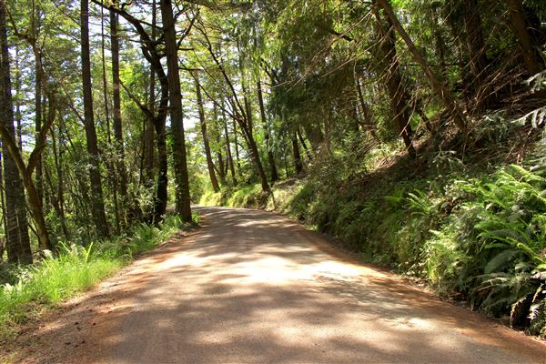 Peachland Road - Anderson Valley region- North East of Boonville (5/15/2018 - Credits: Kellen Lim)