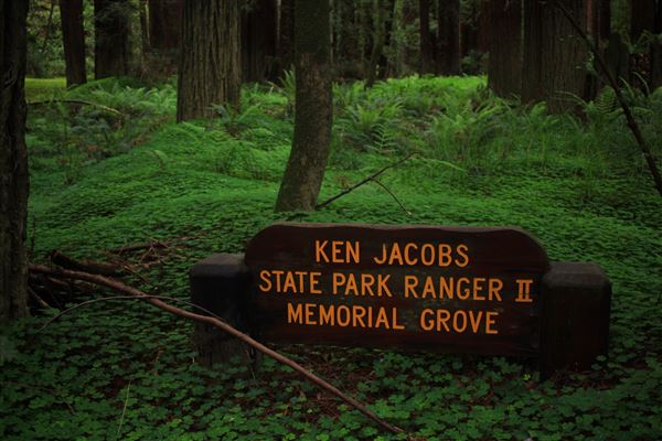 Navarro River Redwoods State Park (SP) (5/15/2018 - Credits: Kellen Lim)