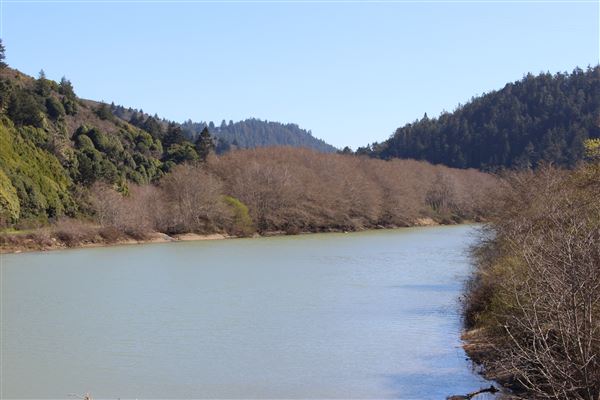 Navarro River - located in Hendy Woods State Park (SP) (3/2/2017 - Credits: Kellen Lim)