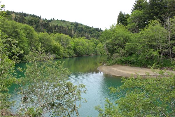 Navarro River - located in Hendy Woods State Park (SP) (5/15/2018 - Credits: Kellen Lim)