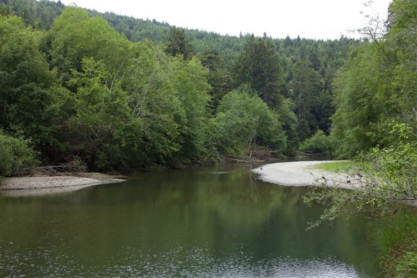 Navarro River - located in Hendy Woods State Park (SP) (5/22/2018 - Credits: Kellen Lim)