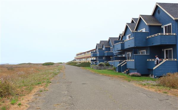 Haul Road Coastal Trail (MacKerricher State Park) (7/16/2018 - Credits: Kellen Lim)