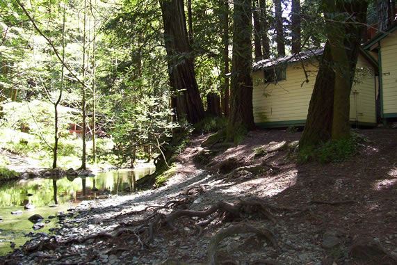 Alliance Redwoods Conference Grounds (7/25/2018)