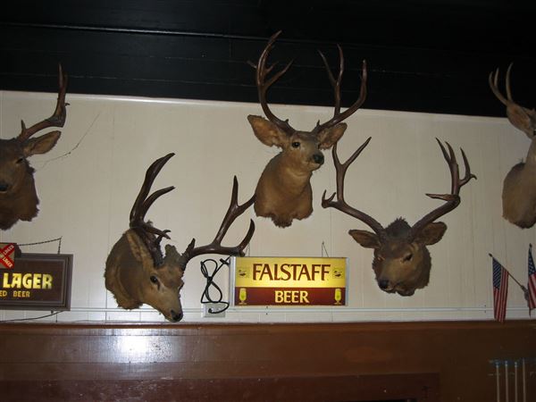 The Casino Bar & Grill (7/25/2018)