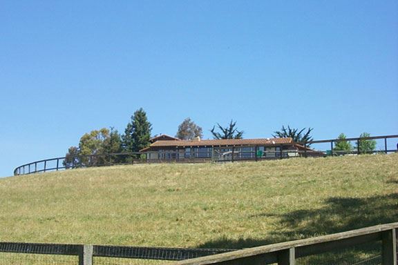 Flying Cloud Farm (7/25/2018)
