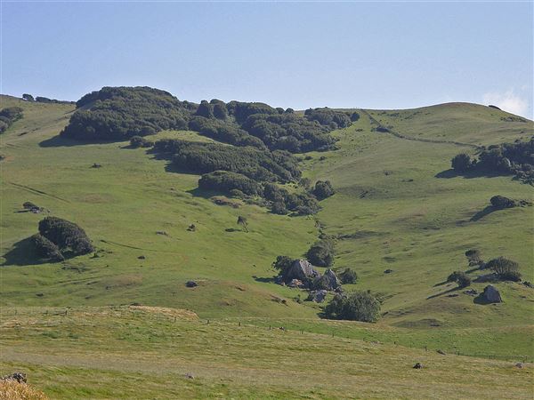 J G Angus Ranch (7/25/2018)