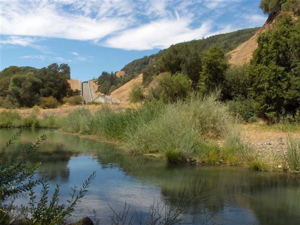 Lake Sonoma (7/25/2018)