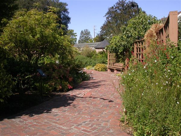 Luther Burbank Home & Gardens (7/25/2018)