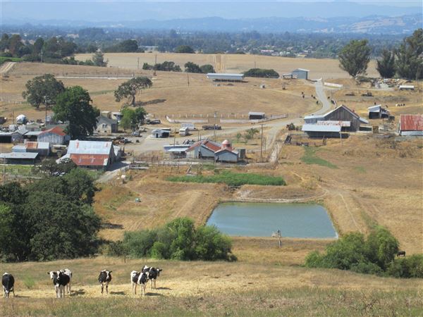 Maffia Dairy Ranch (7/25/2018)