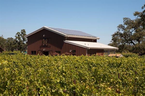 Olivet Grange Vineyard (7/25/2018)