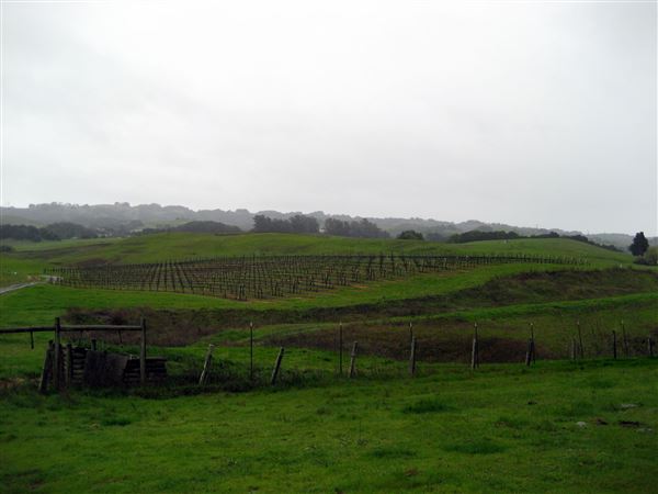 Tom Scott Ranch (7/25/2018)