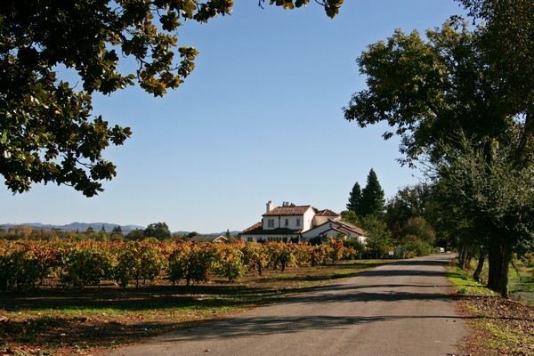 The Russian River Rose Company (7/25/2018)