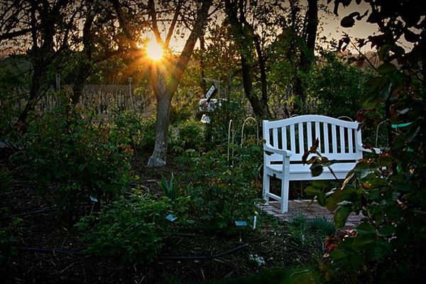 The Russian River Rose Company (7/25/2018)