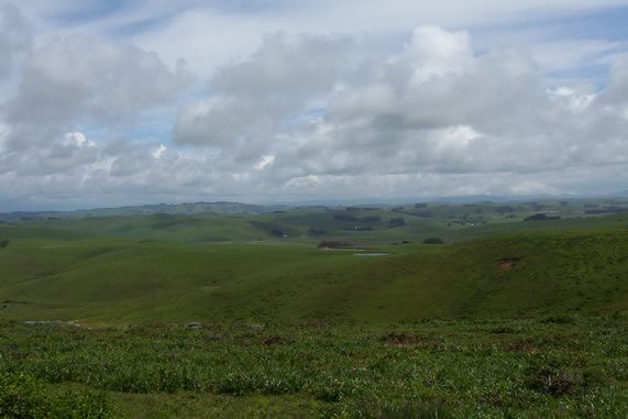 Tomales Rd (7/25/2018)