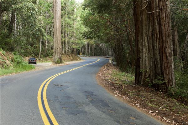 Greenwood Road - Greenwood Road/132 County Road, looking westward (7/30/2018 - Credits: Kellen Lim)