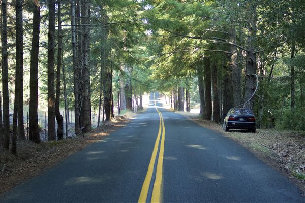 Greenwood Road - Greenwood Road/132 County Road, looking westward (7/30/2018 - Credits: Kellen Lim)
