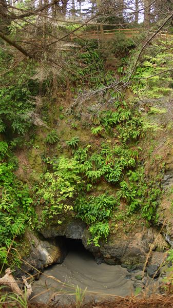 Little River Blowhole Trail - Little River - Blowhole Trail (8/6/2018 - Credits: Kellen Lim)
