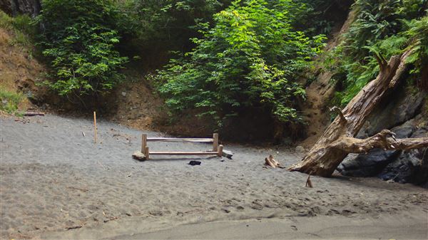 Little River Blowhole Trail - Little River - Blowhole Trail (8/6/2018 - Credits: Kellen Lim)