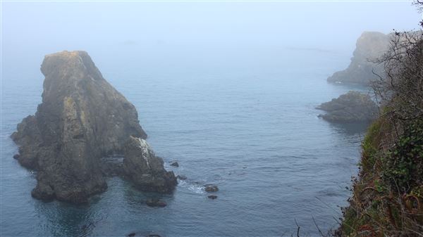 Little River Blowhole Trail - Little River - Blowhole Trail (8/6/2018 - Credits: Kellen Lim)