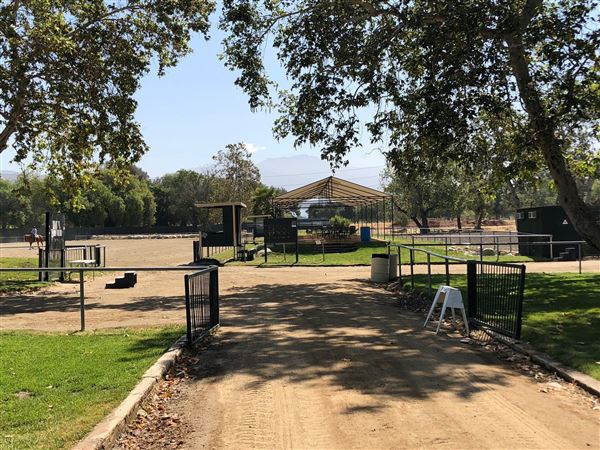 Hansen Dam Horse Park (8/9/2018 - Credits: Vernell Carranza)