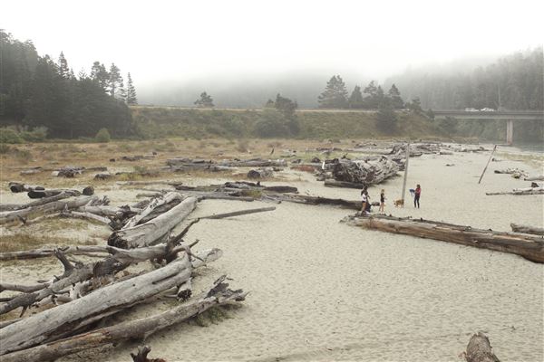 Big River Beach @ Menodocino Headlands State Park  (SP) (7/24/2018 - Credits: Kellen Lim)