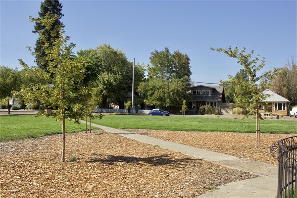 Willits City Park (9/3/2018 - Credits: Kellen Lim)