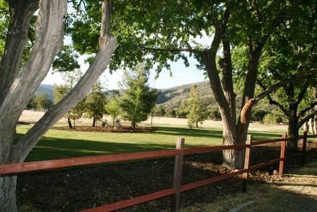 Freedom Ranch - Shadowlands Foundation - Wolves in California (1/7/2019)