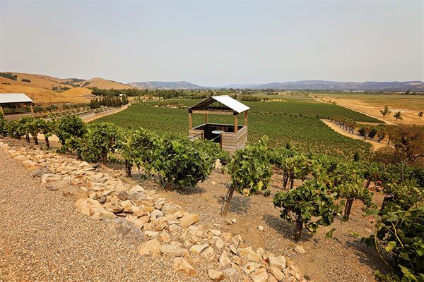 Viansa Sonoma Winery (8/13/2018 - Credits: Dyana Carmello)