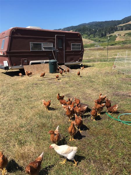 Wavelength Farm - Actual date taken unknown. (4/2/2019 - Credits: Renee Bertrand)