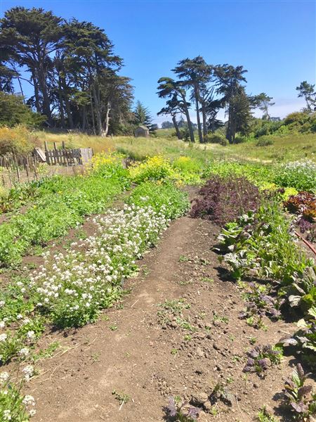 Wavelength Farm - Actual date taken unknown. (4/2/2019 - Credits: Renee Bertrand)