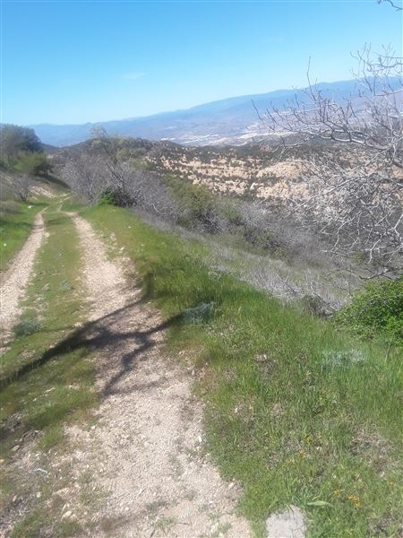 Villalobos Hilltop Ranch (5/23/2019 - Credits: Villalobos Body)