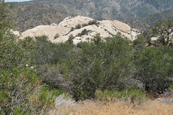 Devil's Punchbowl (6/1/2019 - Credits: LocoScout)