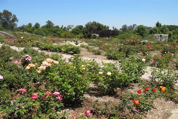 South Coast Botanic Garden (6/1/2019 - Credits: LocoScout)