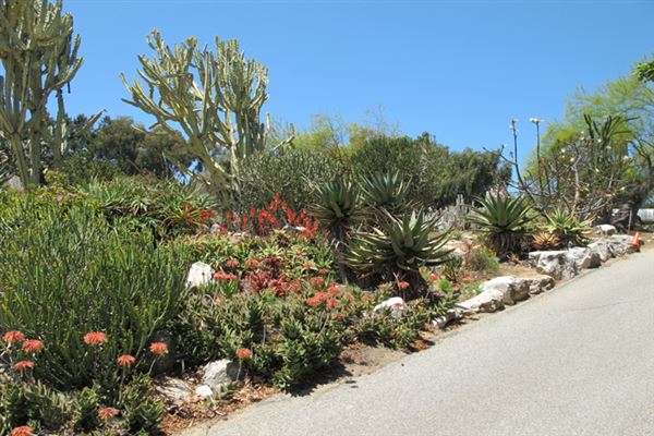 South Coast Botanic Garden (6/1/2019 - Credits: LocoScout)
