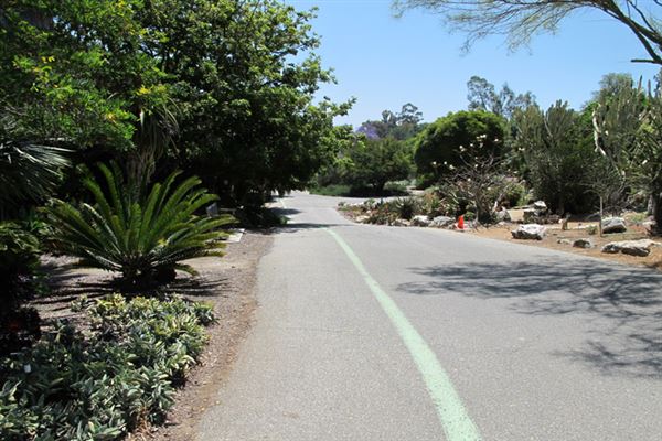 South Coast Botanic Garden (6/1/2019 - Credits: LocoScout)
