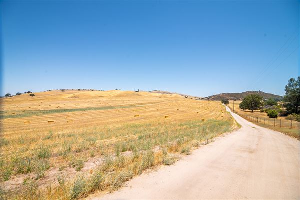 Oreana Winery & Vineyard - Fisco (9/1/2020 - Credits: Photos, Videos and 360° Virtual Tour by Kevin Dole - Home3D.us)