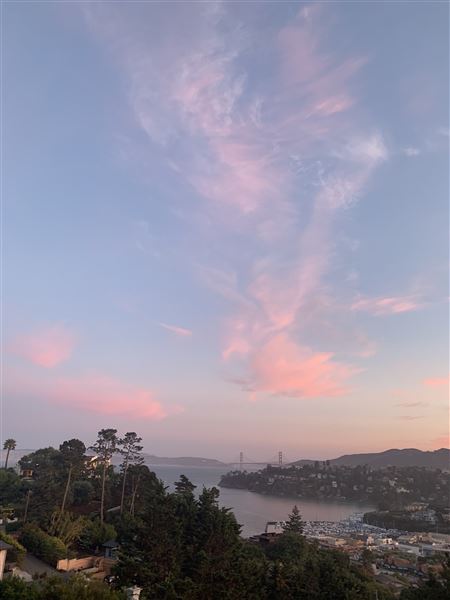 Home in the Hills of Tiburon/SF Bay Area (8/29/2021)