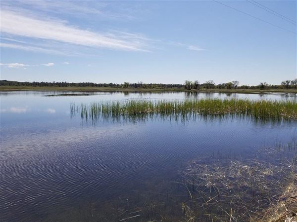 Payne's Creek Wetlands (3/1/2022 - Credits: Film Tehama)
