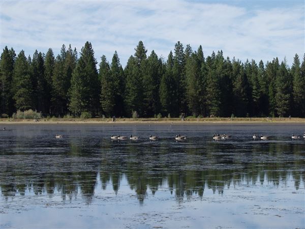 Lake McCumber (8/9/2019)