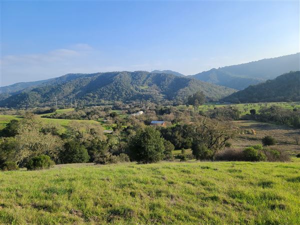 Santa Cruz Mountains/Santa Clara Valley Vineyard/Victorian Location - Gilroy, CA (7/29/2022 - Credits: Jason Goelz)