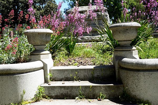 Sacramento Historic City Cemetary (4/28/2020)
