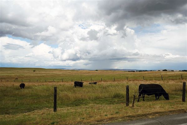 Various Rural Farms And Ranches (8/9/2022)