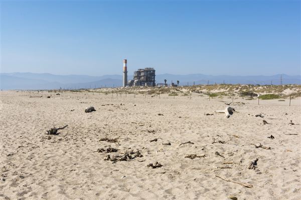 Mandalay State Beach (SB) (7/25/2016 - Credits: Brian Baer)