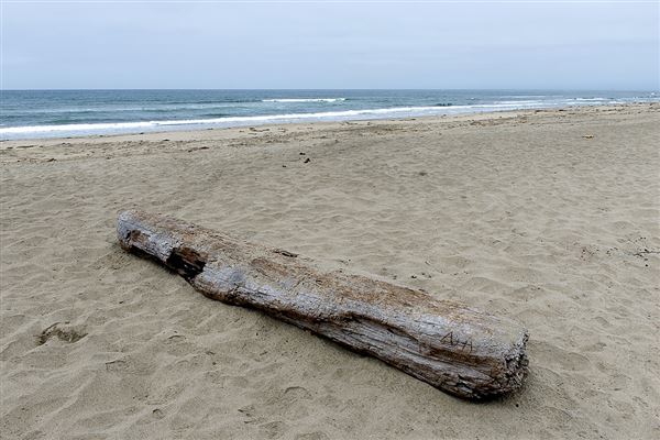Zmudowski State Beach (SB) (6/6/2014 - Credits: Brian Baer)