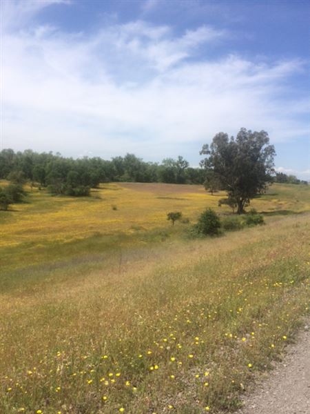 Oroville Wildlife Area - California Department of Fish & Wildlife (CDFW) (9/16/2022 3:03:48 PM - Credits: Provided by Area Manager AJ Dill with CDFW)
